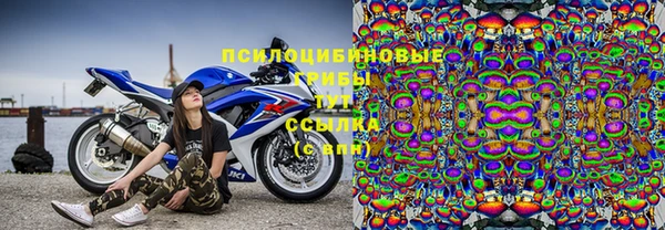 дживик Арсеньев