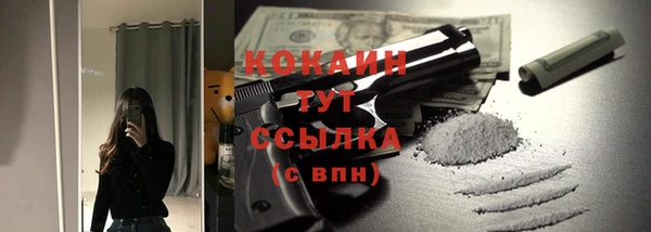 дживик Арсеньев